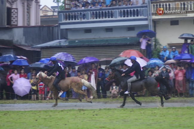 Bất chấp cơn mưa tầm tã, gần 50.000 lượt người đội mưa xem đua ngựa ở Bắc Hà
