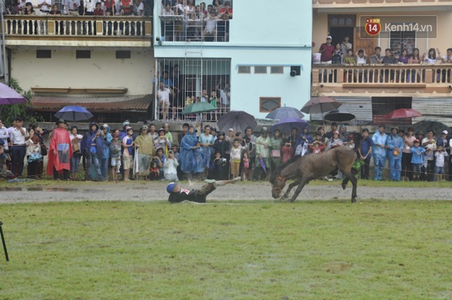 Bất chấp cơn mưa tầm tã, gần 50.000 lượt người đội mưa xem đua ngựa ở Bắc Hà