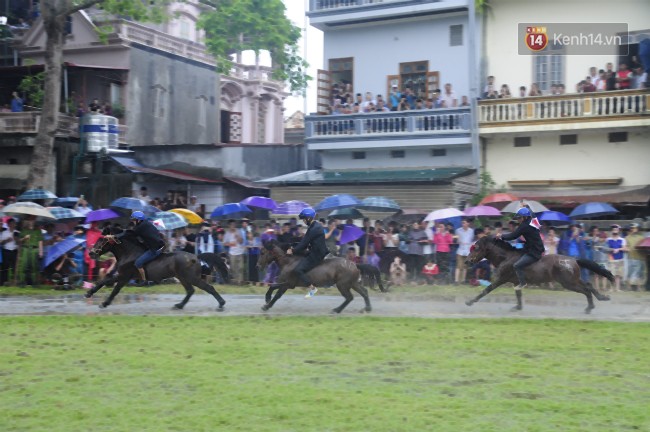 Bất chấp cơn mưa tầm tã, gần 50.000 lượt người đội mưa xem đua ngựa ở Bắc Hà