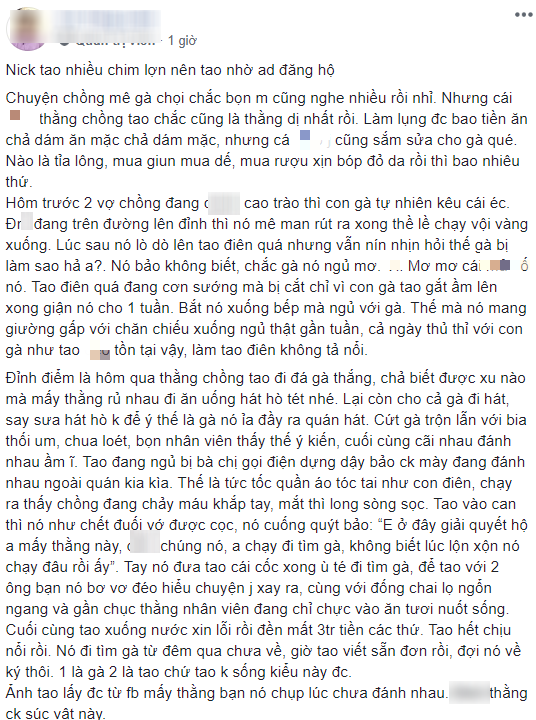 Tâm sự cười chảy nước mắt của cô vợ đòi ly dị vì chồng mê gà chọi: Đang ân ái nhảy bổ xuống kiểm tra chuồng, đem cả gà đi hát karaoke