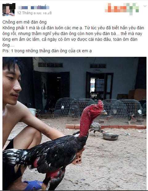 Tâm sự cười chảy nước mắt của cô vợ đòi ly dị vì chồng mê gà chọi: Đang ân ái nhảy bổ xuống kiểm tra chuồng, đem cả gà đi hát karaoke Tâm sự cười chảy nước mắt của cô vợ đòi ly dị vì chồng mê gà chọi: Đang ân ái nhảy bổ xuống kiểm tra chuồng, đem cả gà đi hát karaoke
