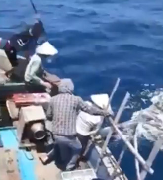 Clip ngư dân phóng lao giết cá heo gây phẫn nộ