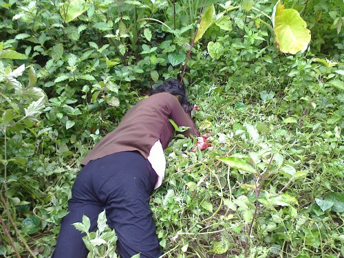 Nghi theo Hội thánh Đức Chúa Trời Mẹ, con dùng dao đâm chết mẹ ruột