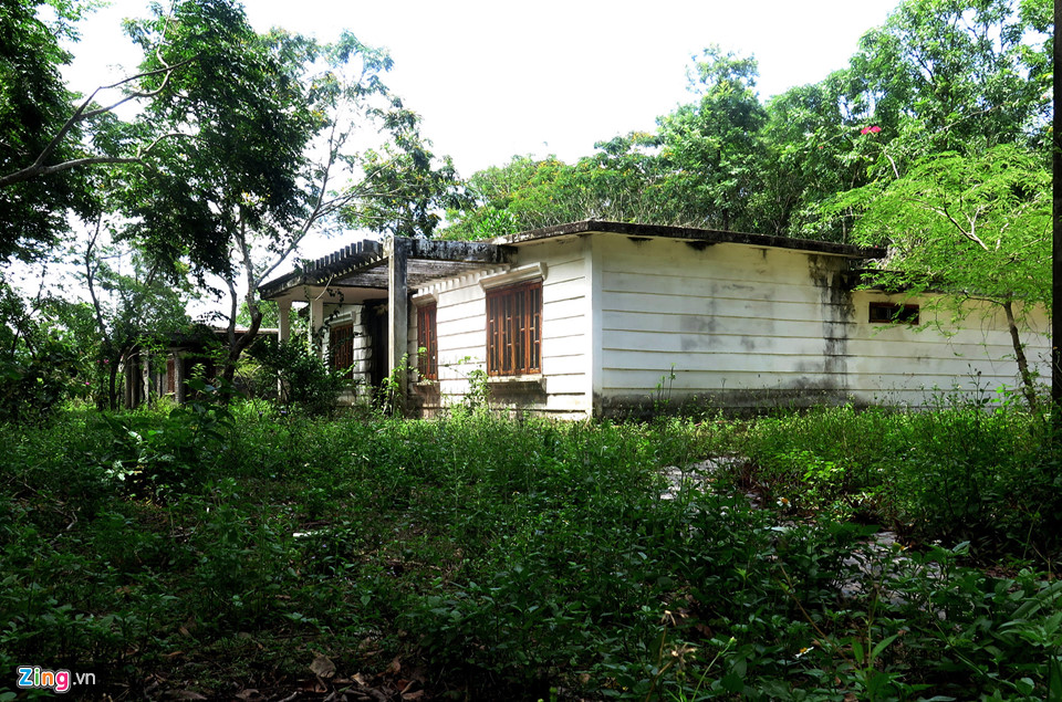 Cỏ dại vây quanh khu du lịch sinh thái Thiên Đàng 8.000 tỷ đồng