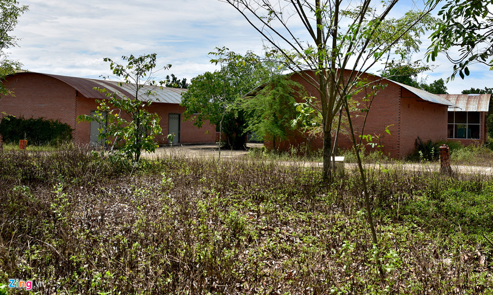 Cỏ dại vây quanh khu du lịch sinh thái Thiên Đàng 8.000 tỷ đồng