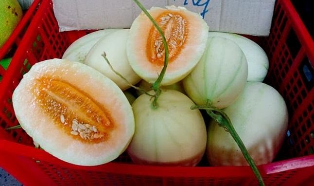 7.200 tấn dưa Trung Quốc tràn chợ: Coi chừng 3 loại dưa Tàu đội lốt hàng Việt