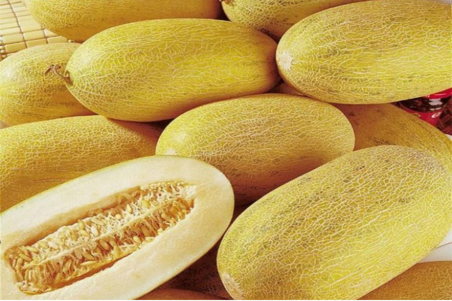 7.200 tấn dưa Trung Quốc tràn chợ: Coi chừng 3 loại dưa Tàu đội lốt hàng Việt