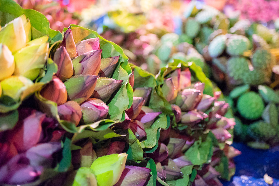 Ngập tràn sắc sen tại chợ hoa đêm Quảng Bá