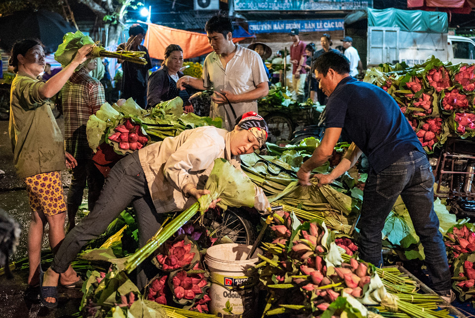 Ngập tràn sắc sen tại chợ hoa đêm Quảng Bá