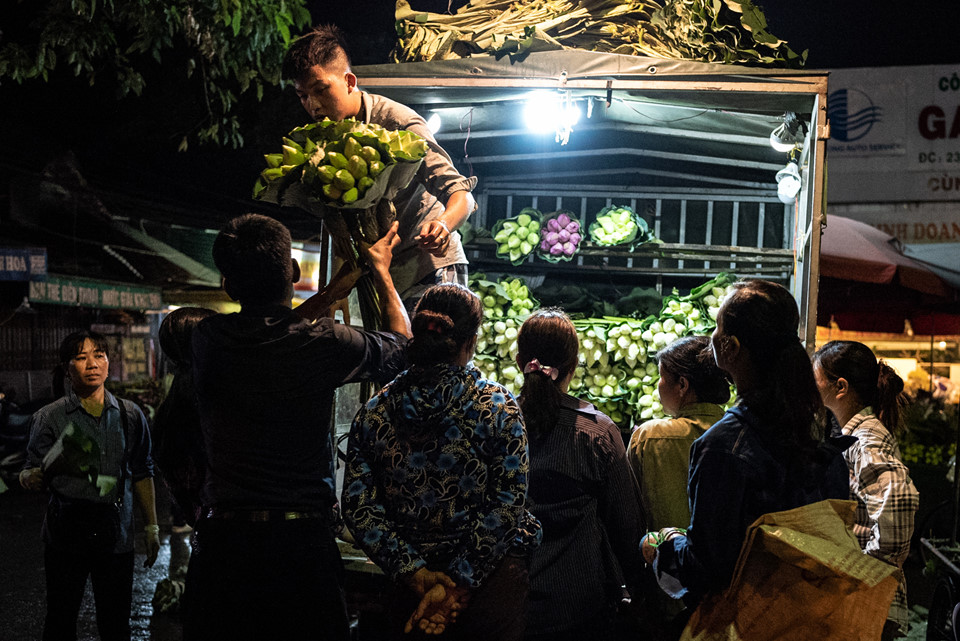 Ngập tràn sắc sen tại chợ hoa đêm Quảng Bá