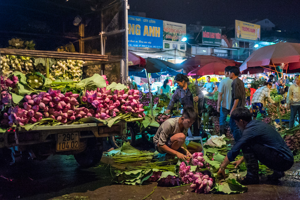 Ngập tràn sắc sen tại chợ hoa đêm Quảng Bá