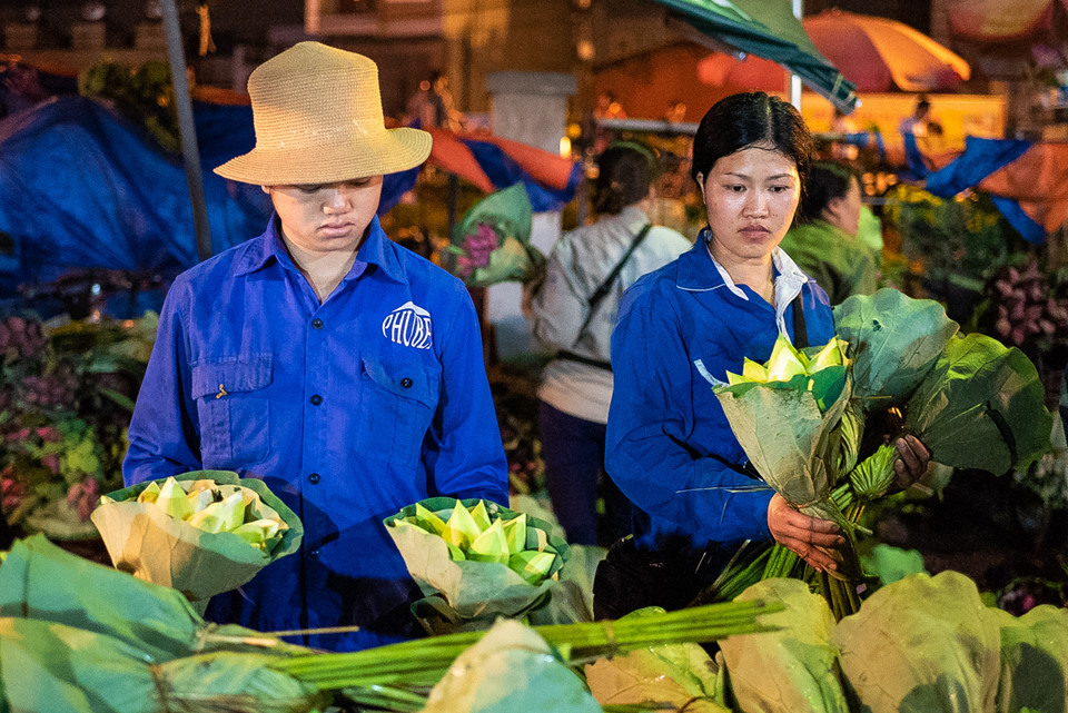 Ngập tràn sắc sen tại chợ hoa đêm Quảng Bá