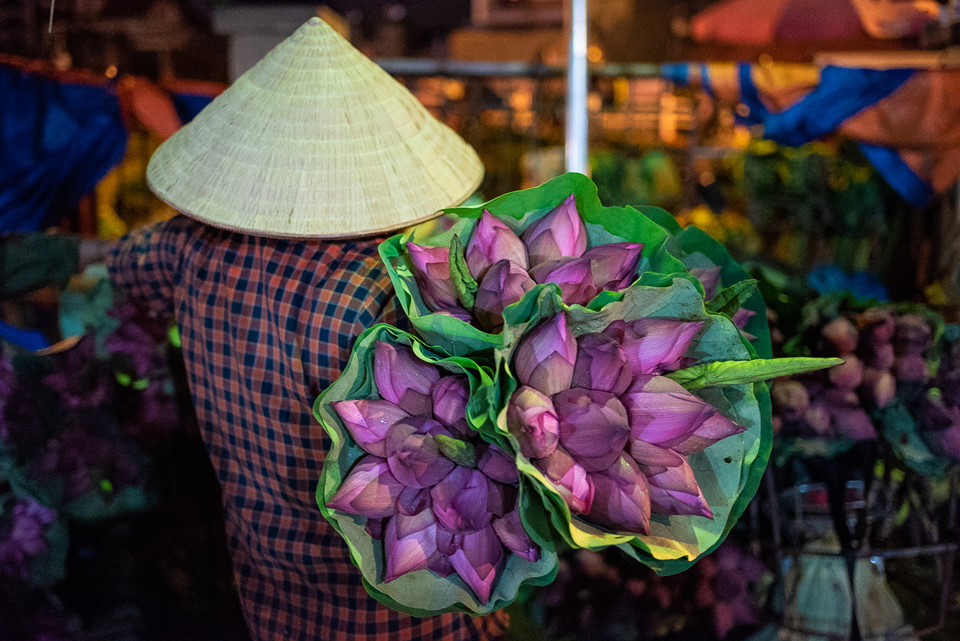 Ngập tràn sắc sen tại chợ hoa đêm Quảng Bá