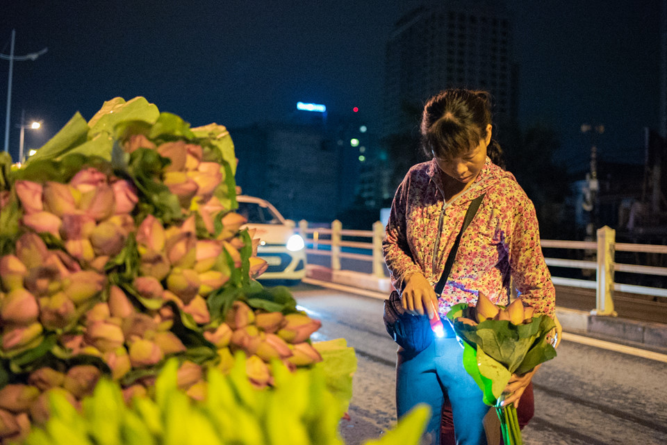 Ngập tràn sắc sen tại chợ hoa đêm Quảng Bá