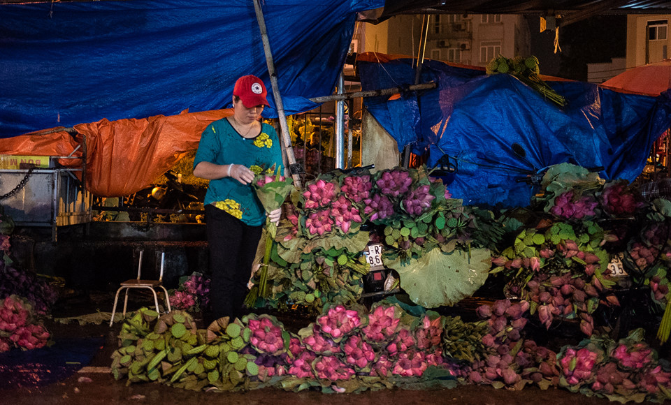 Ngập tràn sắc sen tại chợ hoa đêm Quảng Bá