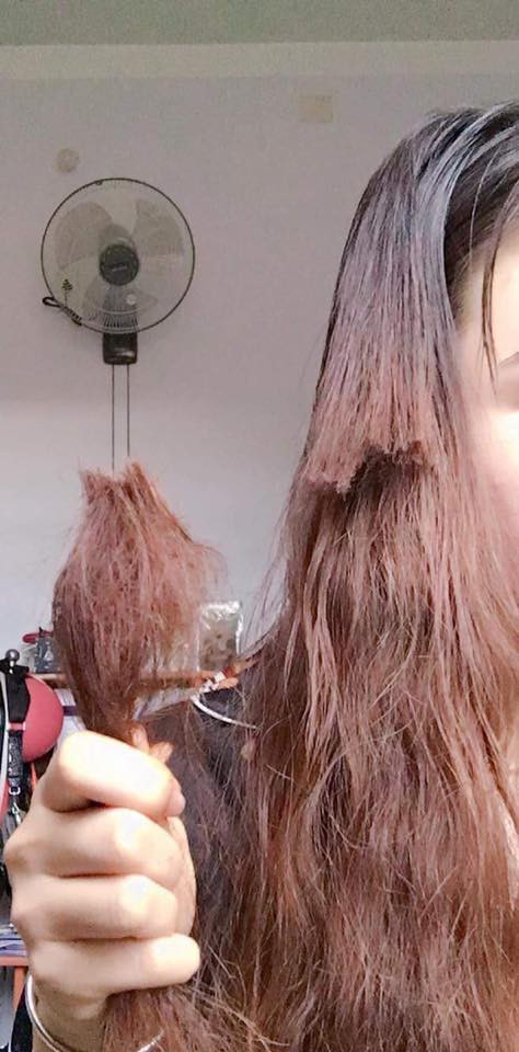 Góc bất lực: Cô gái cả tuần không gội đầu khiến tóc bết tới mức đành phải dùng kéo cắt luôn cả cụm