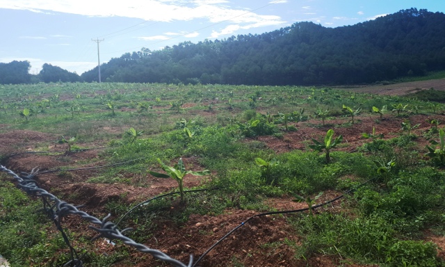 Bắt nguyên TGĐ Cty Bình Hà, hé lộ siêu dự án đầu voi đuôi chuột