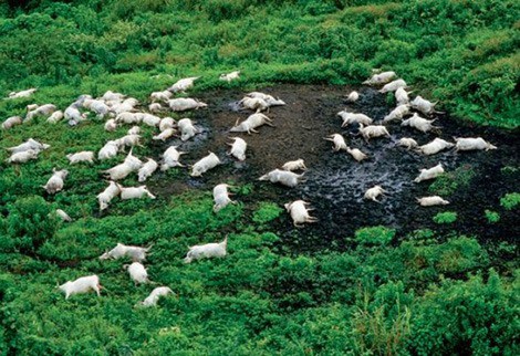 Những câu chuyện thoát chết khó tin: cô gái Việt thoát khỏi cơn bão tuyết tử thần, người đàn ông trở về sau 3 ngày kẹt dưới đáy biển