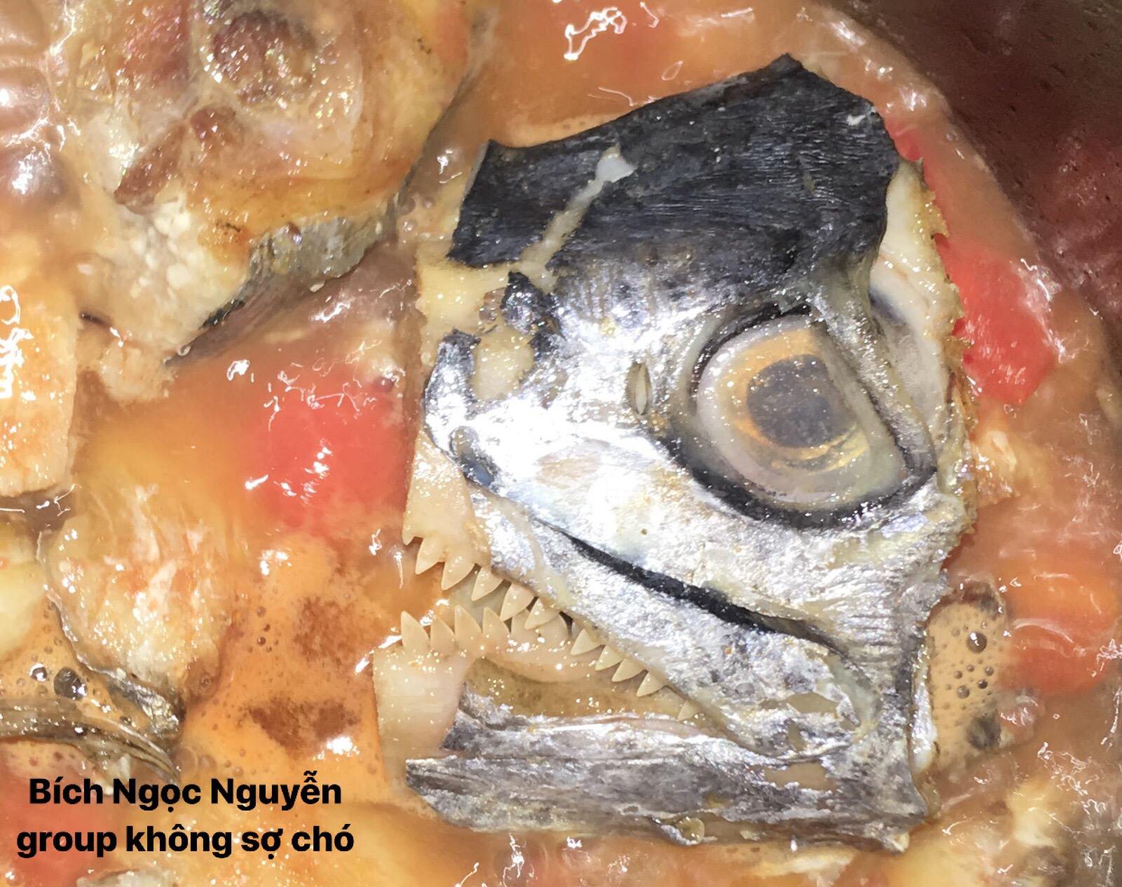 Góc đảm đang: Xuất hiện món cá thu tử thần trên MXH, phải là người dũng cảm mới ăn được