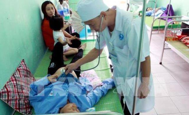 Thái Bình: 50 người bị ngộ độc sau khi ăn tiết canh lợn rừng