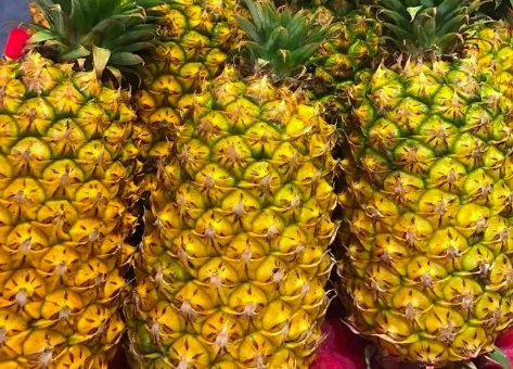 Dứa Việt 2.000 đồng/kg thối đầy đồng, nhà giàu ăn dứa ngoại 300 ngàn/quả Dứa Việt 2.000 đồng/kg thối đầy đồng, nhà giàu ăn dứa ngoại 300 ngàn/quả