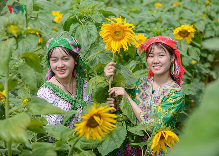 Ngôi làng đẹp nhất Tây Bắc tan hoang sau trận mưa dị thường Ngôi làng đẹp nhất Tây Bắc tan hoang sau trận mưa dị thường