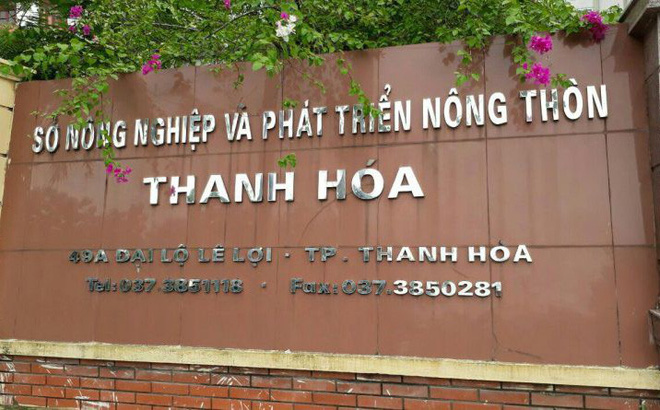 Giám đốc Sở Nội vụ Thanh Hóa nêu lý do chưa thể xử lý chân dài được bổ nhiệm thần tốc