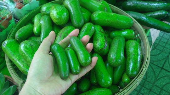 Siêu phẩm bơ tí hon không hạt khiến người tiêu dùng trố mắt