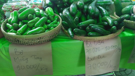 Siêu phẩm bơ tí hon không hạt khiến người tiêu dùng trố mắt