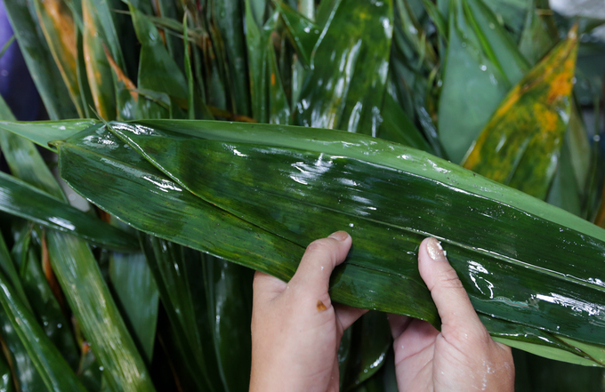 Xóm làm bánh ú lá tre ở Sài Gòn tất bật dịp Tết Đoan Ngọ