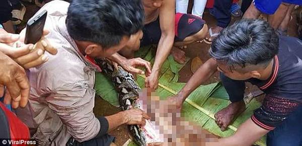 Mổ bụng trăn khổng lồ, kinh hãi phát hiện thi thể người phụ nữ nằm gọn bên trong Mổ bụng trăn khổng lồ, kinh hãi phát hiện thi thể người phụ nữ nằm gọn bên trong
