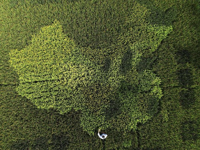 Những bức ảnh về nền kinh tế khổng lồ của Trung Quốc