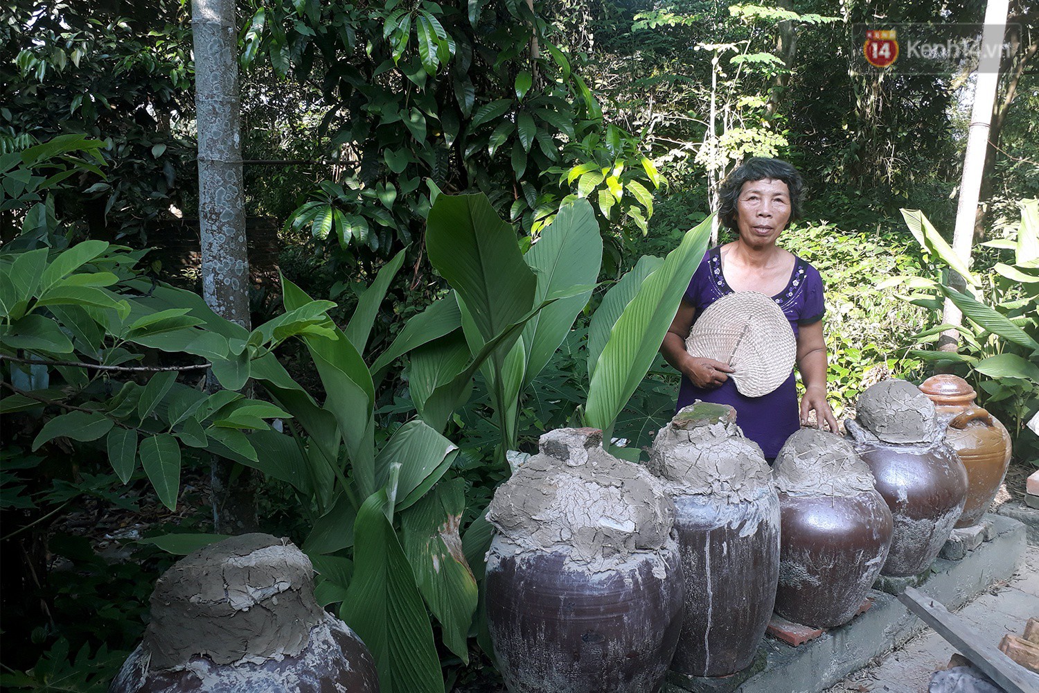 Cô giáo về hưu 15 năm sống trên ốc đảo ở Vĩnh Phúc: Không ra chợ, không biết bệnh tật và không cần đến tiền!