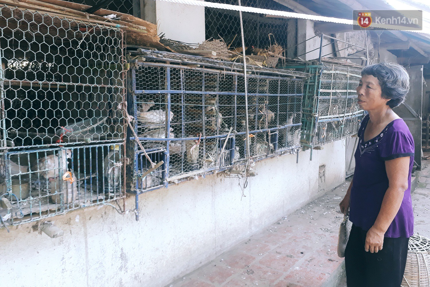 Cô giáo về hưu 15 năm sống trên ốc đảo ở Vĩnh Phúc: Không ra chợ, không biết bệnh tật và không cần đến tiền!