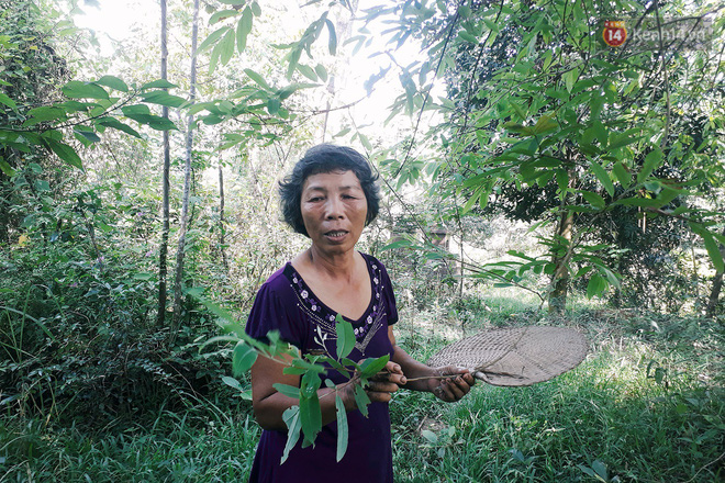 Cô giáo về hưu 15 năm sống trên ốc đảo ở Vĩnh Phúc: Không ra chợ, không biết bệnh tật và không cần đến tiền!