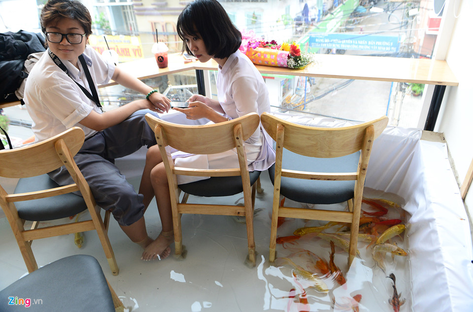 Cho khách ngồi giữa hồ cá, kiểu hút khách mới của quán cà phê Sài Gòn