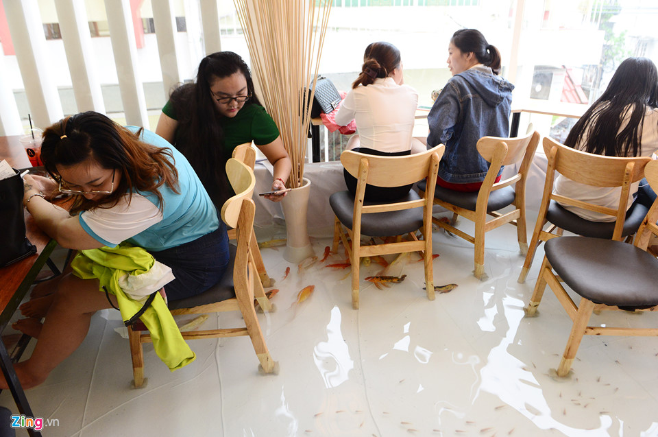 Cho khách ngồi giữa hồ cá, kiểu hút khách mới của quán cà phê Sài Gòn
