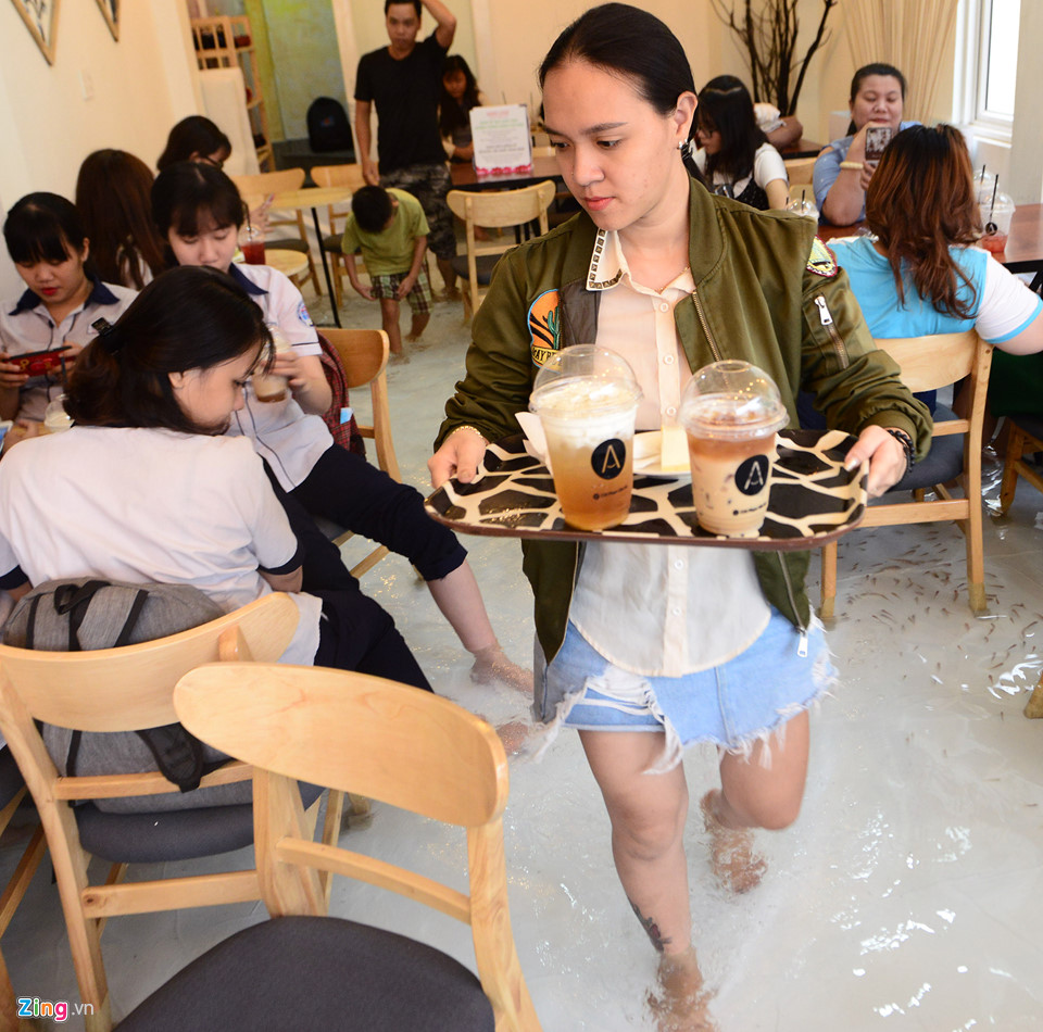 Cho khách ngồi giữa hồ cá, kiểu hút khách mới của quán cà phê Sài Gòn