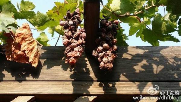 Cuộc sống của Võ Tòng sau 20 năm đóng Thủy Hử thay đổi ra sao?