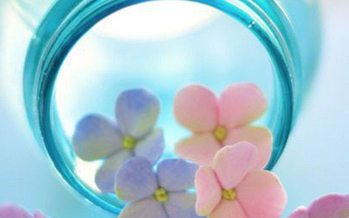 Thứ Hai của bạn (18/6): Kim Ngưu đừng quá cứng đầu