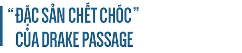 Gần 500 năm qua, đây là quái vật đại dương chết chóc, đáng sợ bậc nhất trên Trái Đất!