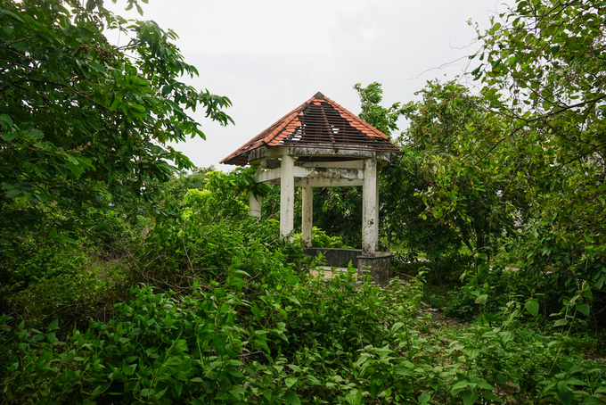 Dự án khu dân cư kiểu mẫu bỏ hoang gần 20 năm ở Sài Gòn