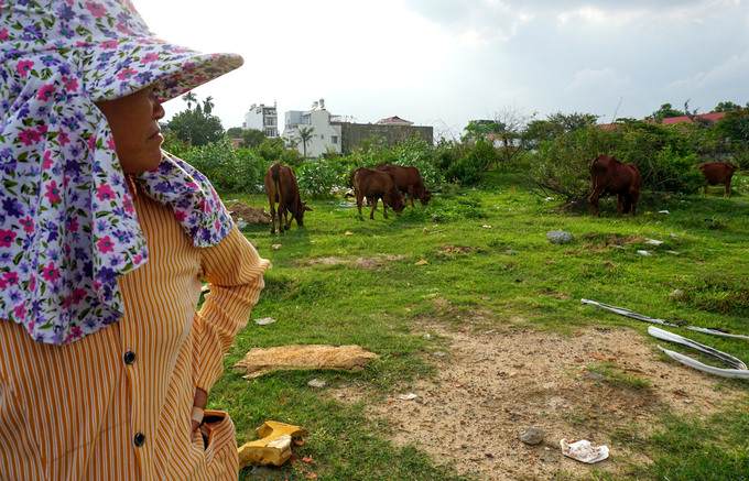 Dự án khu dân cư kiểu mẫu bỏ hoang gần 20 năm ở Sài Gòn