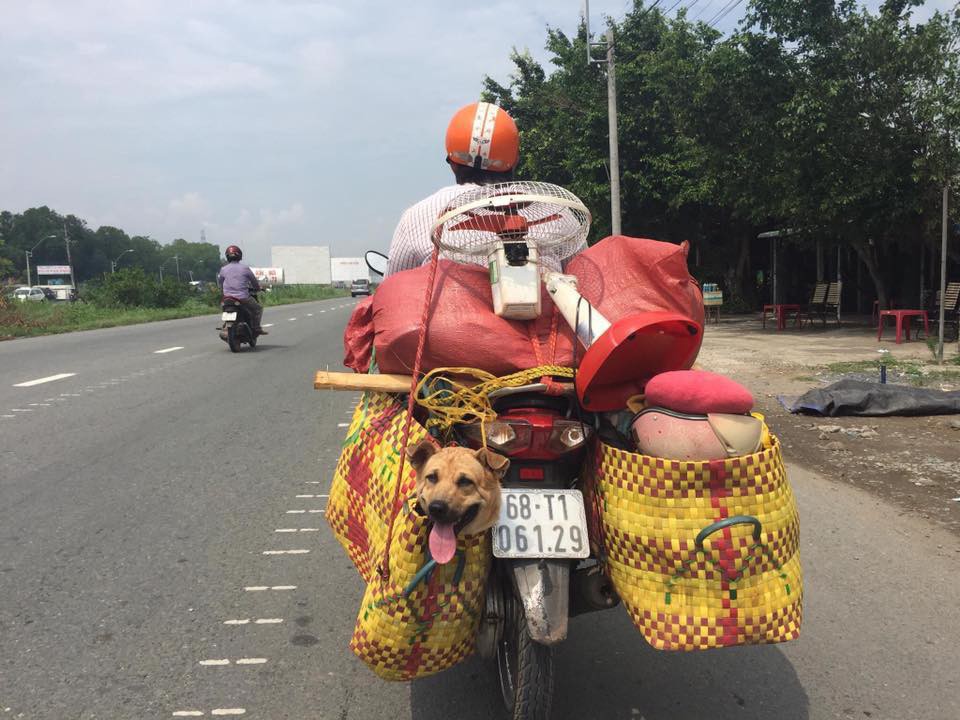 Hình ảnh cảm xúc Sen ở đâu thì nhà boss ở đó được chia sẻ mạnh trên MXH