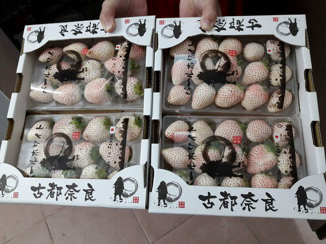 Dân Việt mạnh tay chi bạc triệu mua hộp dâu tây anh đào