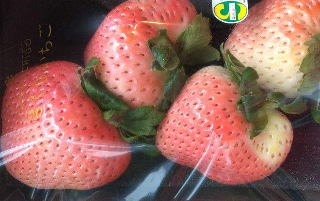 Dân Việt mạnh tay chi bạc triệu mua hộp dâu tây anh đào