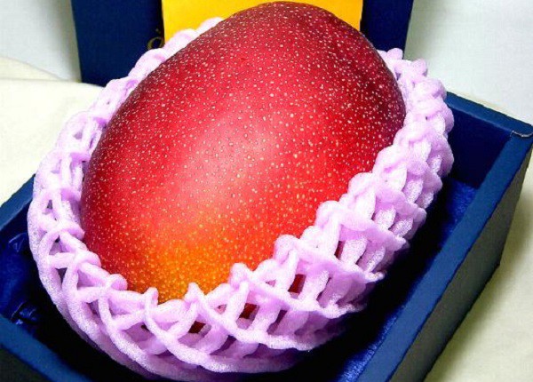 Xoài đỏ 1,7 triệu đồng/quả: Nhà giàu Việt mạnh tay chi tiền thưởng thức