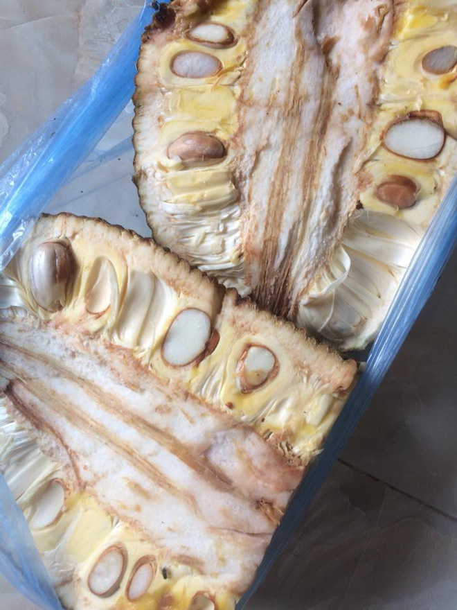 Bổ mít ra không múi đã là chuyện nhàm rồi, đây mít xịn mà vì chủ nâng niu quá đến thối chảy nước mới lạ