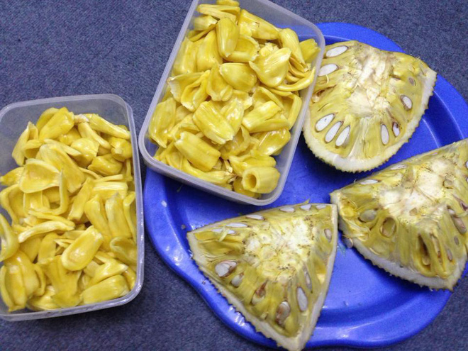 Bổ mít ra không múi đã là chuyện nhàm rồi, đây mít xịn mà vì chủ nâng niu quá đến thối chảy nước mới lạ