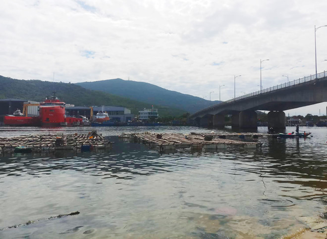 Phát hiện thi thể phụ nữ bị trói chặt tay chân ở Đà Nẵng